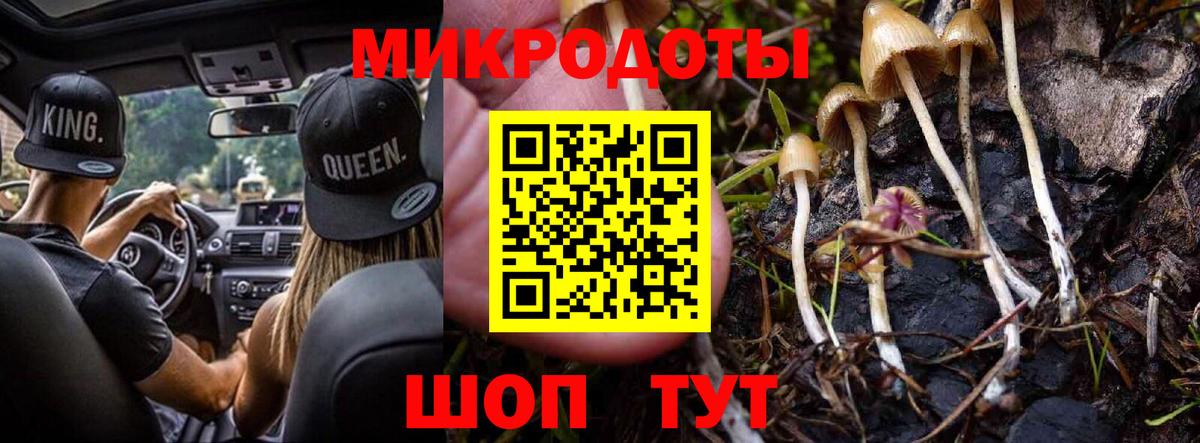 Кимовск  где найти наркотики  Вход с VPN  Псилоцибиновые грибы MAGIC MUSHROOMS 